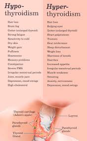 Cruciferous Vegetables And Thyroid Disease The Paleo Mom Thyroiddisease Goitrogens Autoimmuned In 2020 Thyroid Disease Enlarged Thyroid Hashimoto Thyroid Disease
