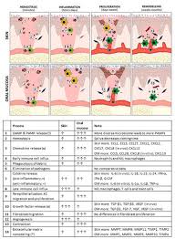 For those avian diseases currently listed by the world organisation for animal health, the current evidence suggests that only highly pathogenic avian influenza, newcastle disease, and (for chicken meat) infectious bursal disease should be considered likely to be spread though trade in this. G3k5hccg6ap0am