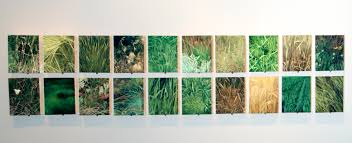 Naturalawn of america salaries trends. American Grasslands Prairie Pasture Crop And Lawn Denver Art Museum