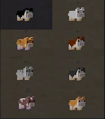 Any version mcpe beta 1.2 build 6 pe 1.17.0.02 pe 1.16.200 pe 1.15.200. Hamsterrific V1 1 Pet Hamsters For Your Minecraft Pe World Mcpe Mods Tools Minecraft Pocket Edition Minecraft Forum Minecraft Forum