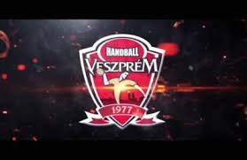 A csapat 14 (egyes versenyeken 16) játékosból áll, a játéktéren egy időben legfeljebb 7 játékos tartózkodhat. Telekom Veszprem Sportmonitor Info Page 2