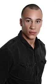 Team africa malaria project