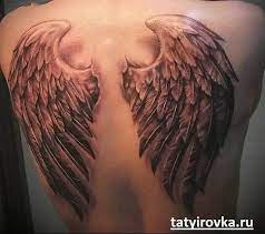 Tatu Krylya I Ih Znachenie 7 Wings Tattoo Tattoos Angel Wings Tattoo