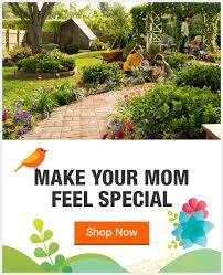 Start with taller plants, and gradually fill out your landscaping area with smaller plants. Garden Center The Home Depot