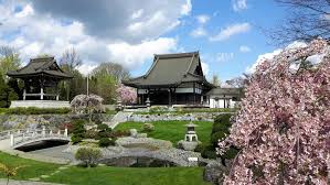 Japanischer garten, rosengarten, arboretum (kostenfrei). Das Eko Haus Der Japanischen Kultur In Dusseldorf D Mitte