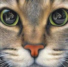 Saat ini tidak sulit di kesempatan ini, kami akan menjelaskan cara memilih sabun muka pria sekaligus menampilkan. 20 Kdeen Othman Ideas Haiwan Peliharaan Kemahiran Kemandirian Golden Retriever