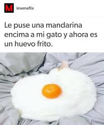 Q Tonteria Tonteria Memes Divertidos Memes Meme Gracioso