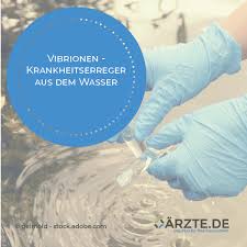 Was Sind Eigentlich Vibrionen In 2020 Krankheit Gesundheit Ostsee