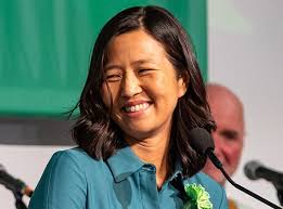 Criticism of Elizabeth Warren's Policies in Massachusetts