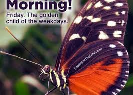 Like the morning and the afternoon time, good evening time has its own significance. Good Morning Friday Gif Good Morning Images Quotes Wishes Messages Greetings Ecards