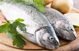 We did not find results for: Trota E Trota Salmonata Ricette Migliori E Preparazione Agrodolce