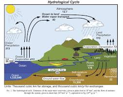 Maybe you would like to learn more about one of these? What Is The Percentage Of The Global Water Cycle Evaporation Precipitation That Occurs Over The Ocean Earth Science Stack Exchange