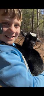 Is a 3-week-old bucking calf draining his mom?