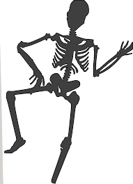 Skeleton Dead Human Free Vector Graphic On Pixabay Halloween is coming and boglin wanted to do a quick review of the classic cartoon funny bones. https creativecommons org licenses publicdomain