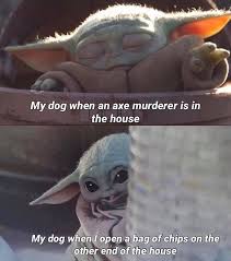 Babyyodamemes Hashtag On Instagram Photos And Videos Yoda Funny Yoda Meme Yoda Wallpaper
