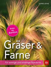 Graser Farne Von Ulrike Leyhe Portrats Der Schonsten Und Robustesten Graser Farne Und Bambusse Die Sich Besonders Gut Fur Den H Gras Farn Farne Garten