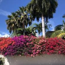 We did not find results for: Florida Keys Group Cycling Tour Timberline Adventures