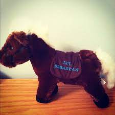 This Is The Greatest Thing Ever Rip Lil Sebastian Parks And Recreation Parks N Rec Dumb And Dumber