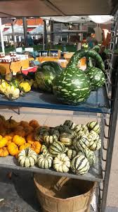 Your soil might be stripped of nutrients, or there might be a disease lingering in the pot. Gourd Wikipedia