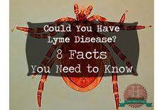 24 Curing Lyme Disease Ideas Lyme Lyme Disease Disease
