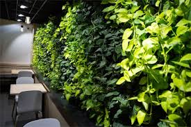 LiveWall Indoor Living Wall Livens Up Coava Coffee's New Café Location