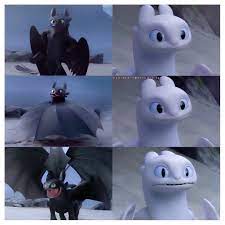 Until when they find a new island full of dragons. 81 Toothless And Light Fury Ideas How Train Your Dragon Toothless How To Train Your Dragon