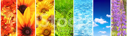 Set Van Banner Met Natuurelementen Stockfoto's - FreeImages.com