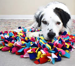 This handy diy drying mat for dogs is ready to pack up and hit the road! How To Make A Snuffle Mat Dream A Little Bigger