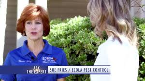 Facility pest control offers simi valley, ca residents a complete range of pest extermination & removal services such as bed bugs, pests, rodents & more. Pest Control For Homeowners Ecola Termite And Pest Control