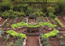 Ellen Ashley S Gardening Classes Greensboro Nc Unique Vegetables Amazing Landscaping Ideas Potager Garden