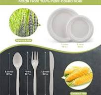 Fuyit 250Pcs Compostable Paper Plates with Cutlery Set, Disposable Biodegradable LONG Utensil Eco-Friendly Dinnerware Includes Plates, Fork, Knife & ...