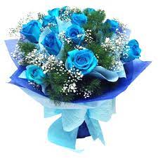 Check spelling or type a new query. Send 12 Pcs Light Blue Color Roses Bouquet To Manila Only