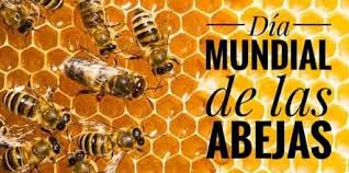 Si consideramos los datos de la última semana, el euro acumula una subida del 2,63. 20 De Mayo Dia Mundial De Las Abejas