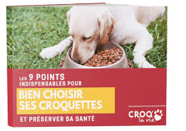 Grande tendance pour 2020 ? Guide Comment Bien Choisir Ses Croquettes Pour Chien Pour Sa Sante