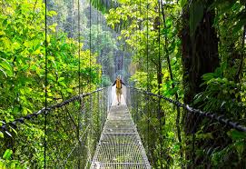 What are the best places to visit and places to stay? The Best Places To Visit In Costa Rica Live Tech Spot