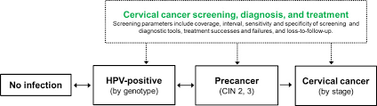 What are the treatments for cervical cancer? Figure 1 Model Schematic Screening For Cervical Cancer In Primary Care A Decision Analysis For The U S Preventive Services Task Force Ncbi Bookshelf