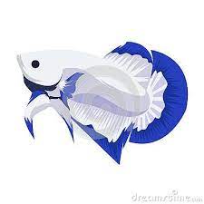 Maybe you would like to learn more about one of these? Betta Blue Rim Logo Vector Design Cartoon Mascot Logo Ikan Cupang Seni Ikan Ikan