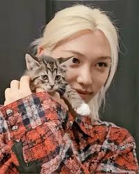 Pin by 。( ^ω^ )💖🌷✨