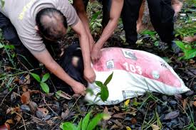 Foto viral pembunuhan di masukin botol / link dimasukin botol / foto viral pembunuhan di masukin. Dalam 10 Jam Polisi Tangkap Pembunuh Wanita Yang Mayatnya Dimasukan Dalam Karung Antara News Banten