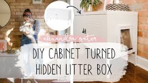 You may need a litter box of a different design than you can find to buy. Here S A Shockingly Simple Way To Hide Your Cat S Litter Box Diy Cabinet That Hides Cat Litter Box