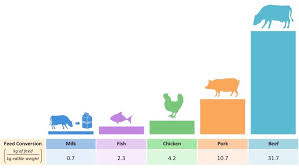 Feed Conversion Ratio Bioninja