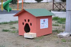 Karabuk Belediyesi Nden Sokak Kedileri Icin Kedi Evleri Karabuk Belediyesi