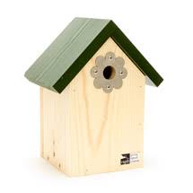 Camera bird boxes give you a close inside glimpse into the homes of birds in spring when nesting; Bird Box Cameras Nest Box Observation Rspb Shop