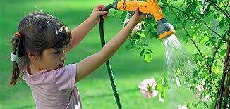 4 طرق لترشيد إستهلاك المياه لحماية الصحة العامة والامن المائي Agri2day اجري توداي