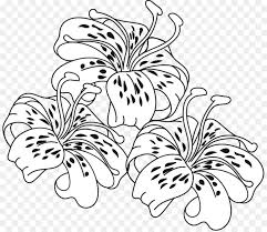 Show your kids a fun way to learn the abcs with alphabet printables they can color. Tiger Lily Easter Lily Coloring Book Flower Tiger Lily Cliparts Png Free Transparent Image
