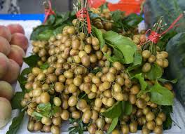 Image result for Clausena