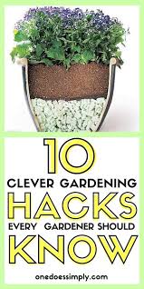 10 Clevere Hacks Fur Den Garten Die Jeder Gartner Kennen Sollte Benotigen Benotigen Clevere Den Die Fu In 2020 Gardening Tips Container Gardening Diy Garden