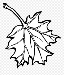 Get your coloring supplies out of the drawers and grab the whole set of 30 flower coloring pages from our membership library. Maple Leaves Coloring Pages Fall Leaves Coloring Pages Clipart 1190456 Pinclipart