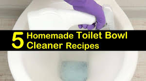 homemade toilet bowl cleaner