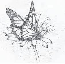 Tips and techniques to draw your favorite flower with many examples using pen and ink. Sk H Butterfly On Flower Drawing Easy Novocom Top